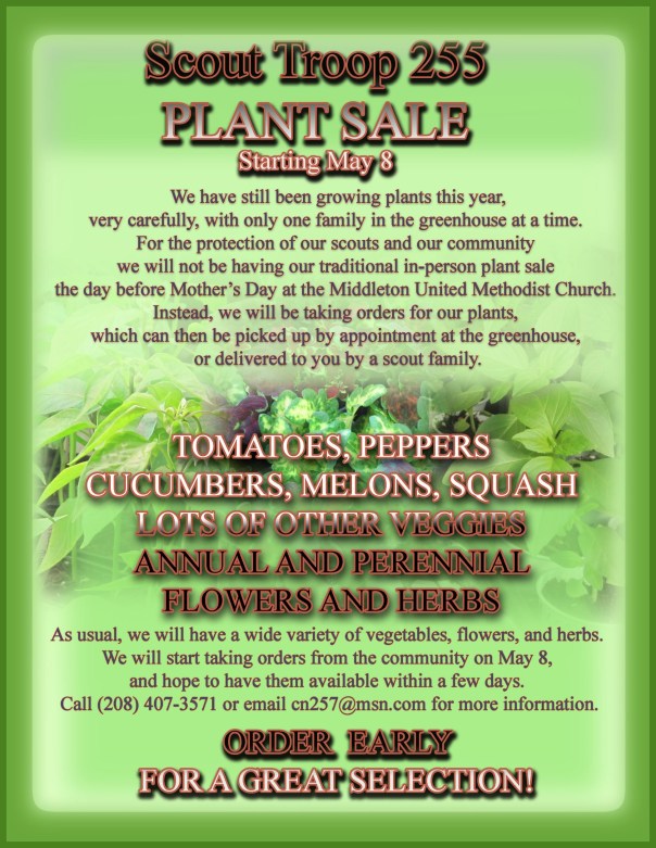 POSTER FOR BSA PLANT SALE